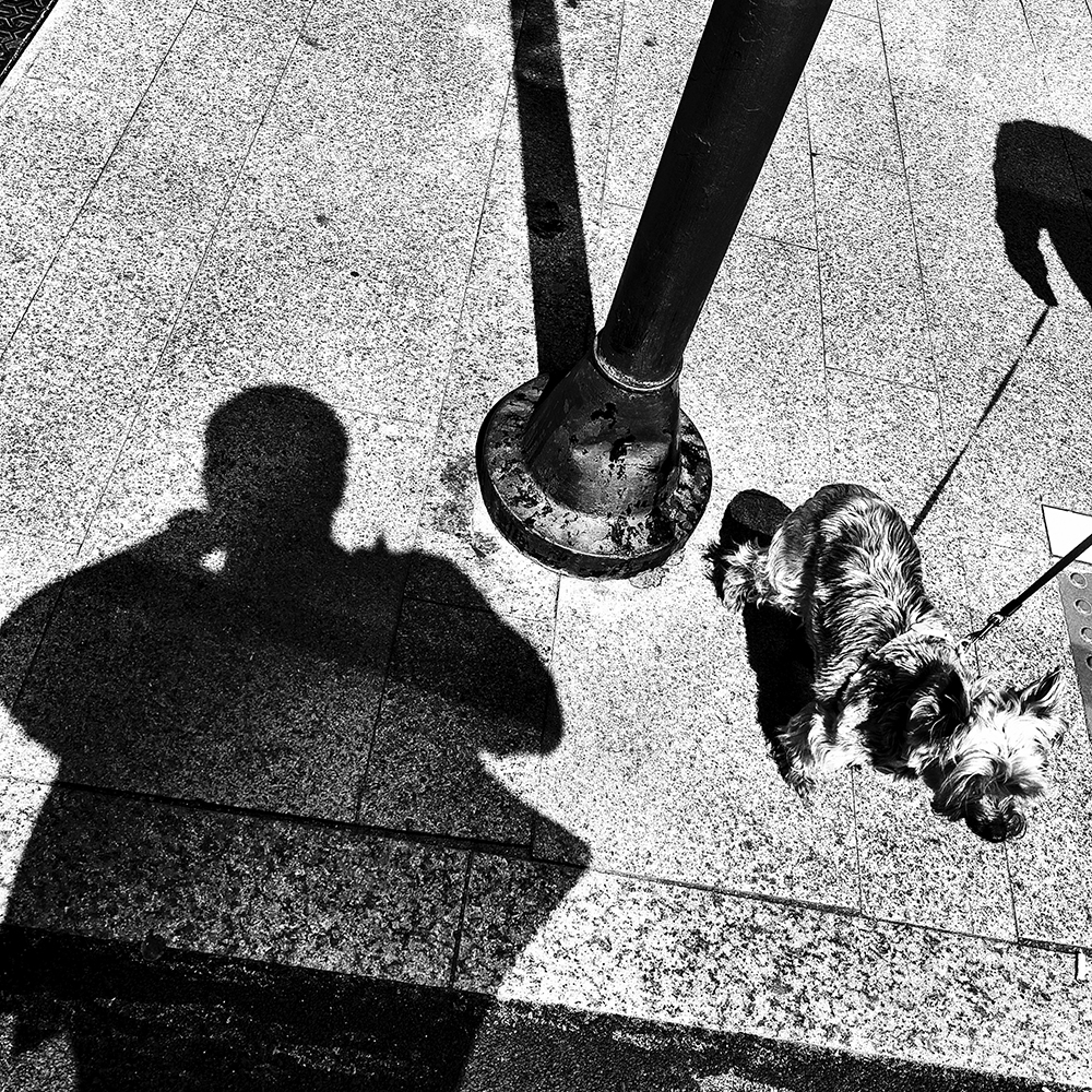 Plano picado en blanco y negro con la sombra del fotógrafo, un perro con correa y fuertes texturas de alto contraste en el suelo / High-angle black and white street photograph showing the photographer's shadow, a leashed dog, and harsh contrast textures on the pavement. Proyecto / Project: TRASH - Ben Rawman